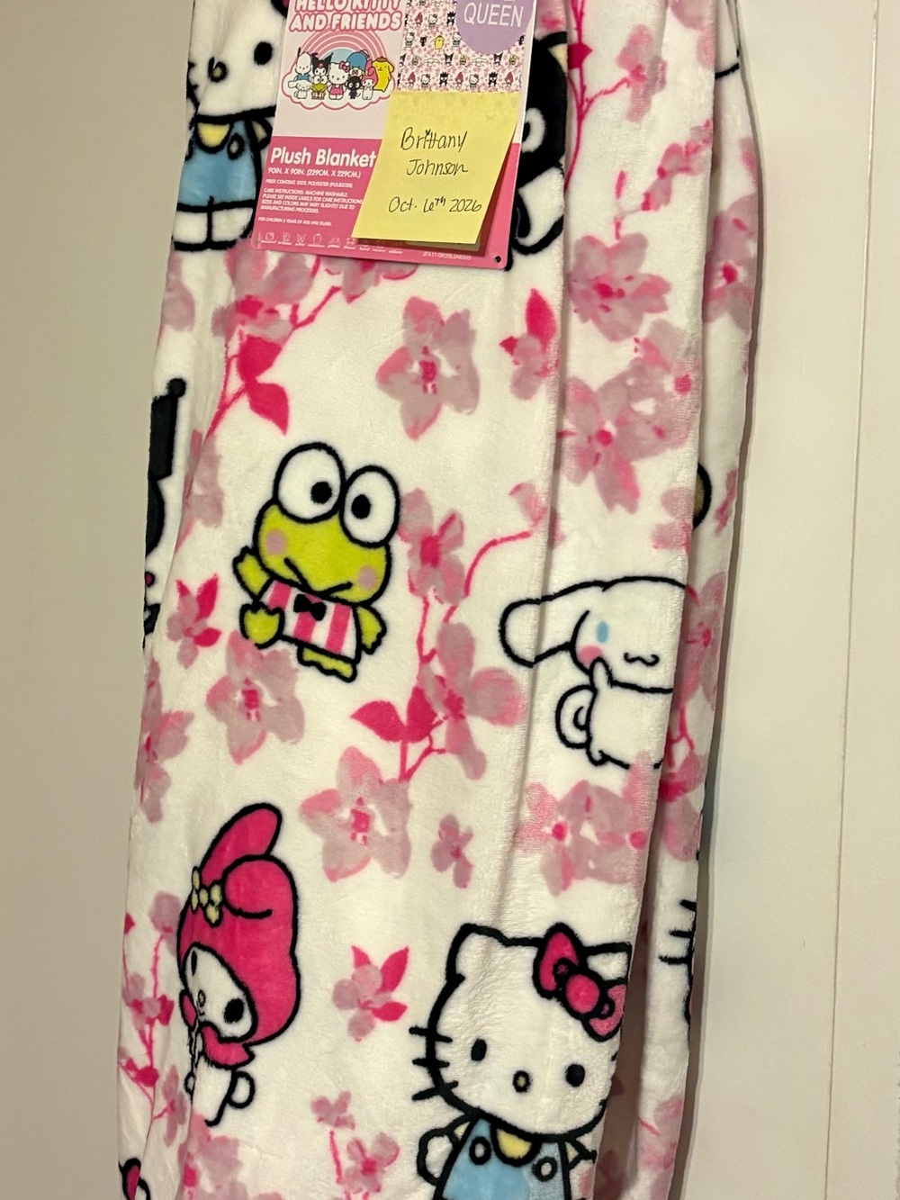FIRST OFFER GETS IT! Hello Kitty & Friends Pink Floral Kids Plush Blanket - Picture 1 of 1